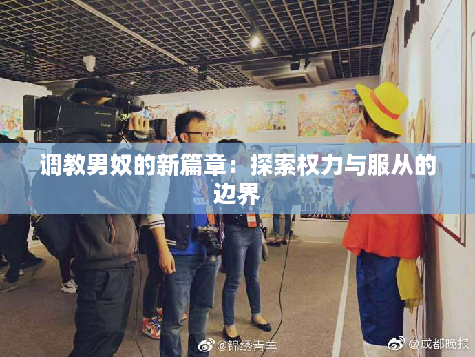 调教男奴的新篇章：探索权力与服从的边界