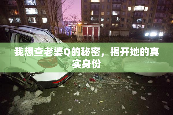 我想查老婆Q的秘密，揭开她的真实身份