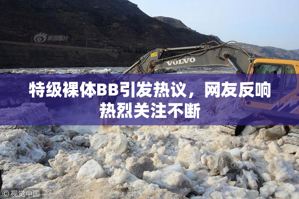 特级裸体BB引发热议，网友反响热烈关注不断