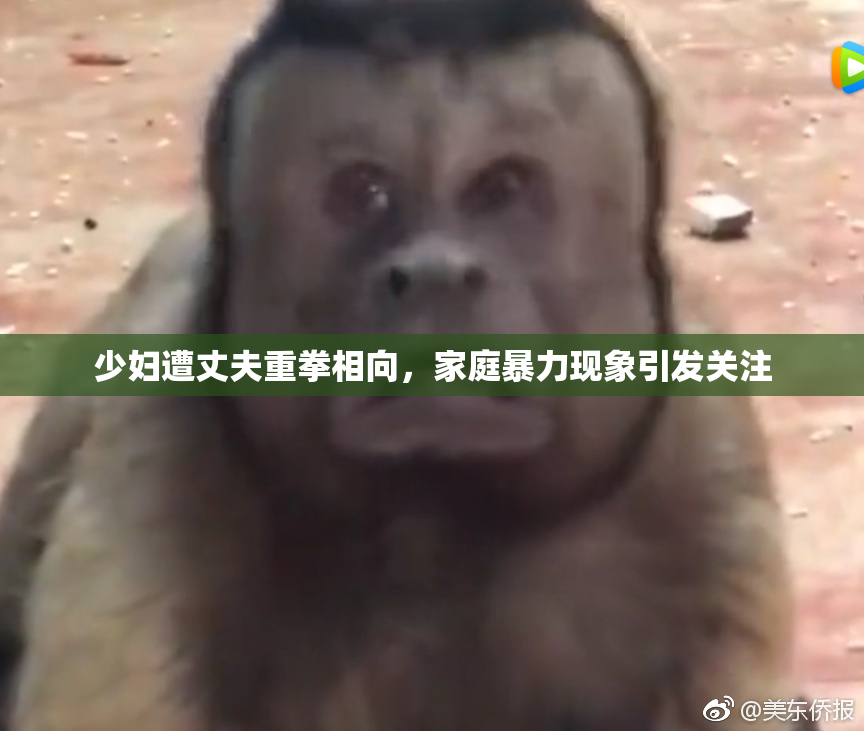 少妇遭丈夫重拳相向，家庭暴力现象引发关注