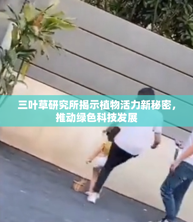 三叶草研究所揭示植物活力新秘密，推动绿色科技发展