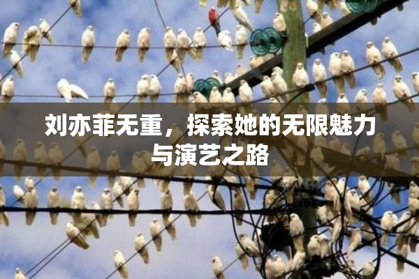 刘亦菲无重，探索她的无限魅力与演艺之路