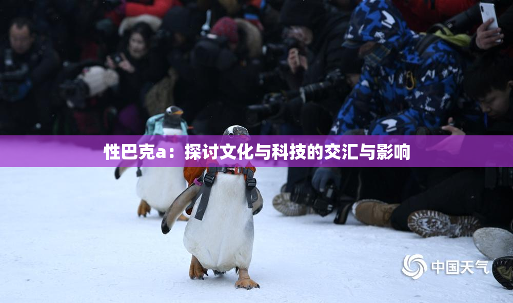 性巴克a：探讨文化与科技的交汇与影响