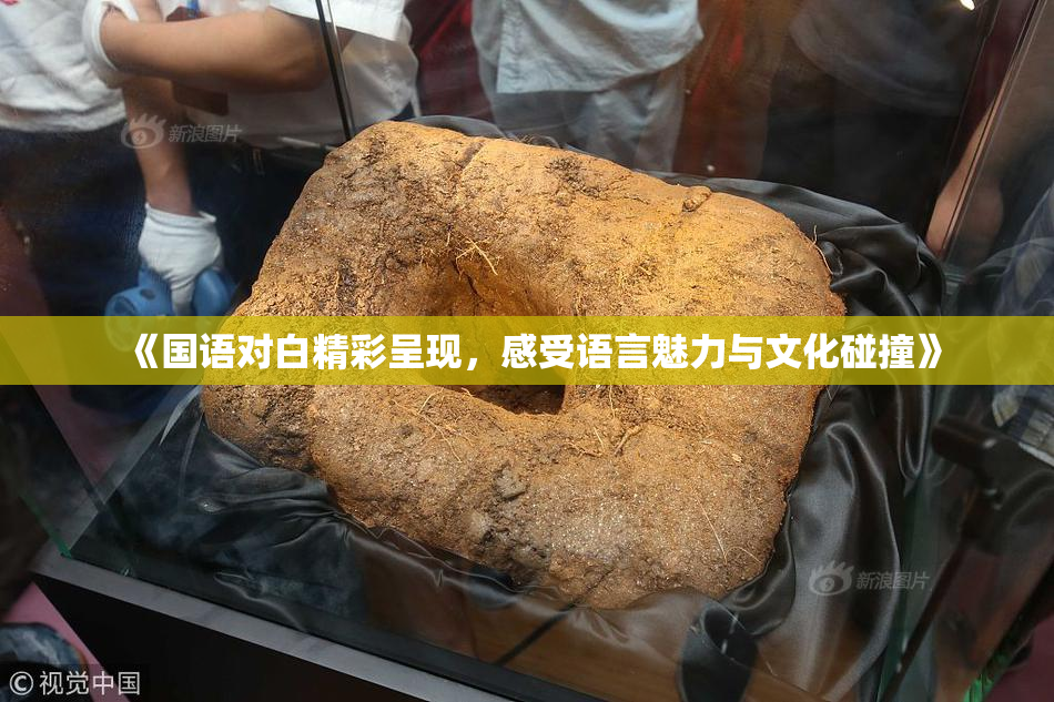 《国语对白精彩呈现，感受语言魅力与文化碰撞》
