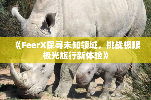 《FeerX探寻未知领域，挑战极限极光旅行新体验》