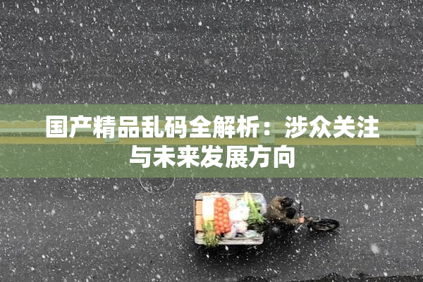 国产精品乱码全解析：涉众关注与未来发展方向