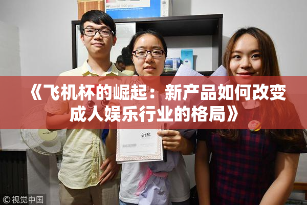 《飞机杯的崛起：新产品如何改变成人娱乐行业的格局》