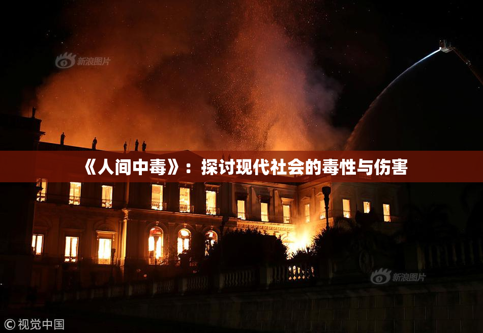 《人间中毒》：探讨现代社会的毒性与伤害
