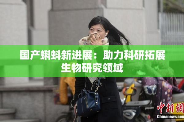 国产蝌蚪新进展：助力科研拓展生物研究领域