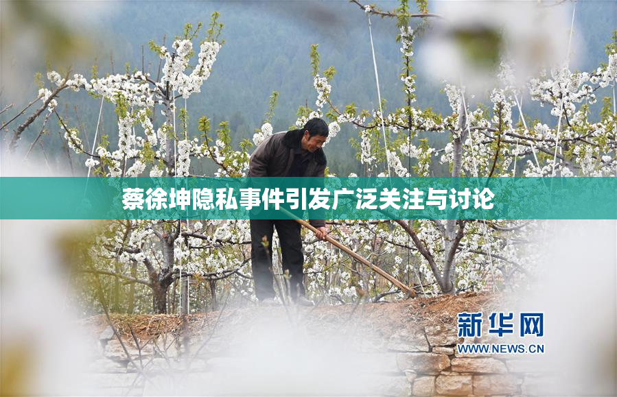 蔡徐坤隐私事件引发广泛关注与讨论