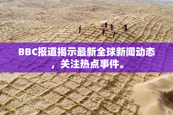 BBC报道揭示最新全球新闻动态，关注热点事件。