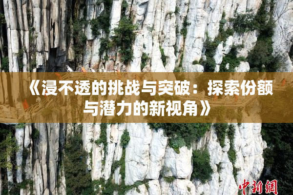 《浸不透的挑战与突破：探索份额与潜力的新视角》