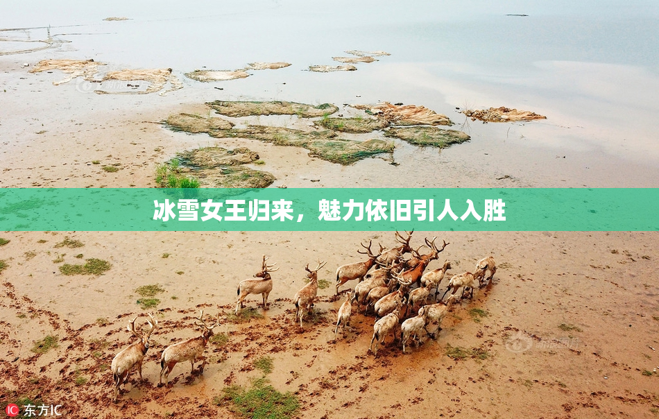 冰雪女王归来，魅力依旧引人入胜
