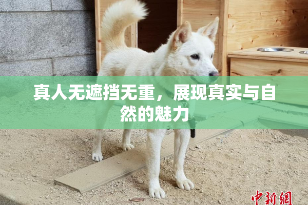 真人无遮挡无重，展现真实与自然的魅力