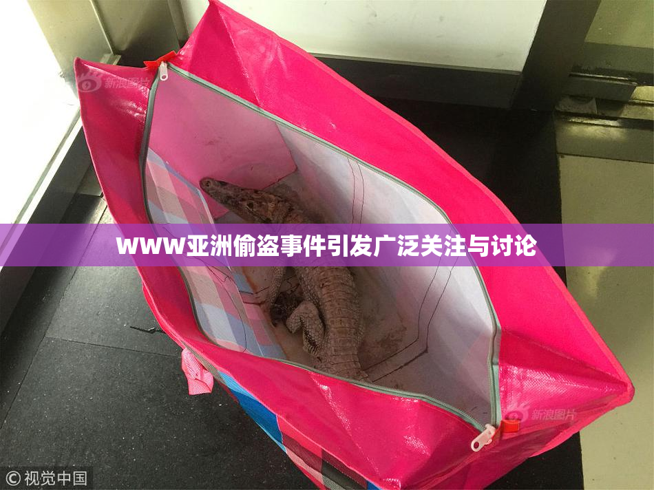 WWW亚洲偷盗事件引发广泛关注与讨论