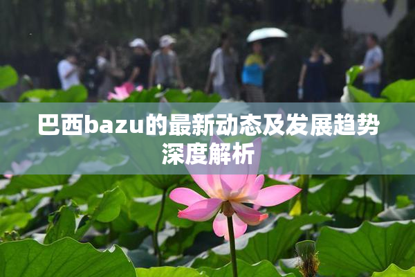 巴西bazu的最新动态及发展趋势深度解析