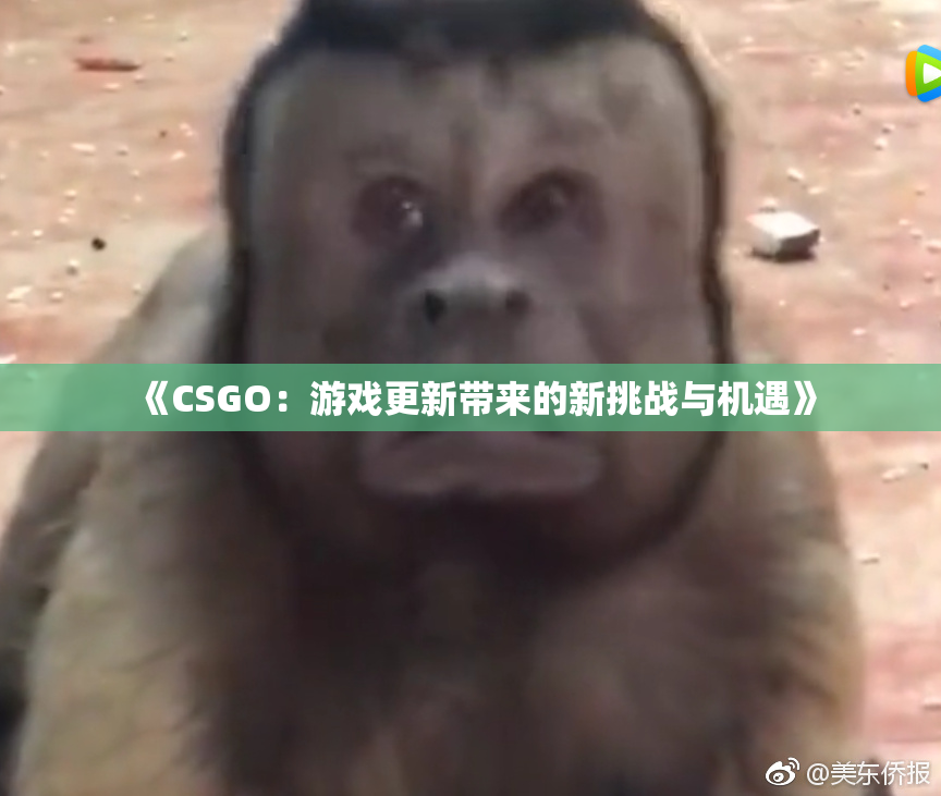 《CSGO：游戏更新带来的新挑战与机遇》