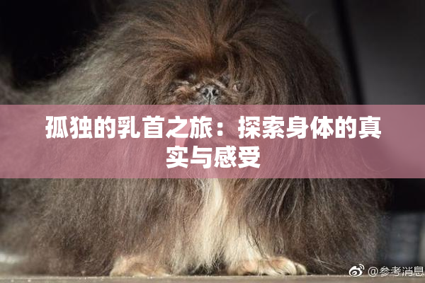 孤独的乳首之旅：探索身体的真实与感受