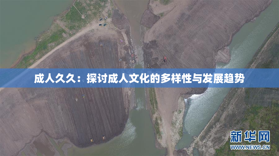 成人久久：探讨成人文化的多样性与发展趋势