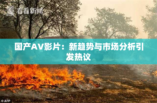 国产AV影片：新趋势与市场分析引发热议