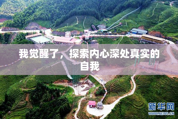 我觉醒了，探索内心深处真实的自我