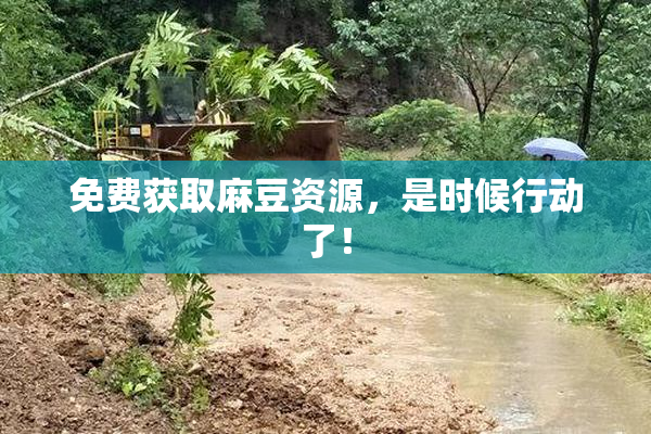 免费获取麻豆资源，是时候行动了！