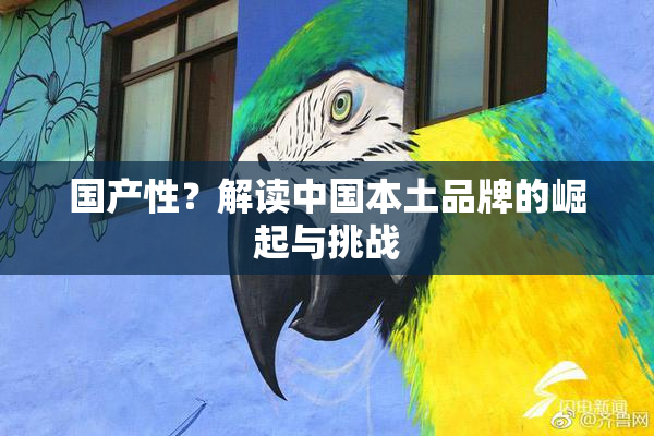 国产性？解读中国本土品牌的崛起与挑战