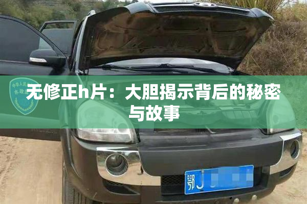 无修正h片：大胆揭示背后的秘密与故事