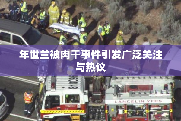 年世兰被肉干事件引发广泛关注与热议
