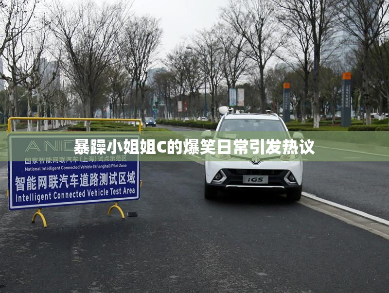 暴躁小姐姐C的爆笑日常引发热议