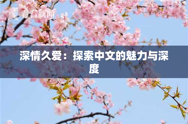 深情久爱：探索中文的魅力与深度