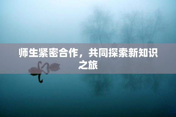 师生紧密合作，共同探索新知识之旅