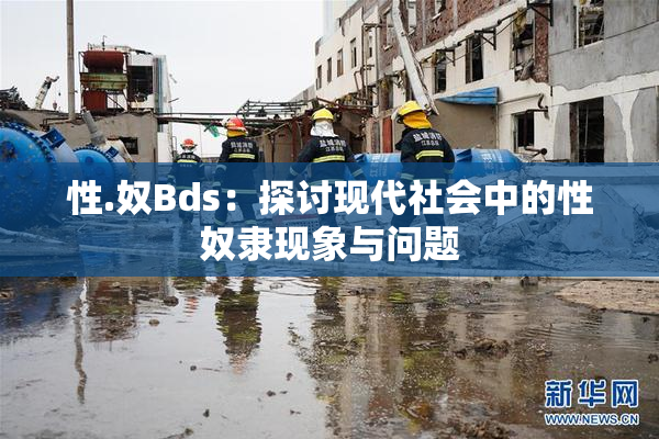 性.奴Bds：探讨现代社会中的性奴隶现象与问题