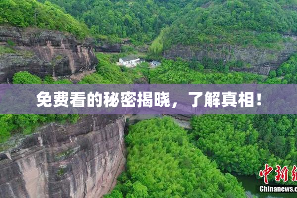 免费看的秘密揭晓，了解真相！