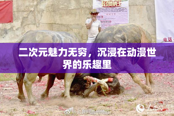 二次元魅力无穷，沉浸在动漫世界的乐趣里