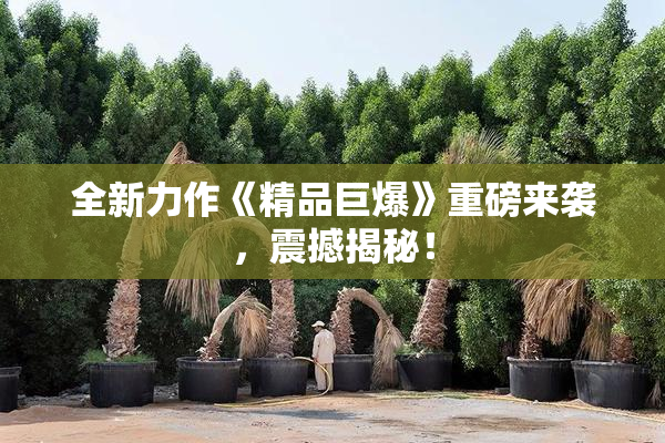 全新力作《精品巨爆》重磅来袭，震撼揭秘！