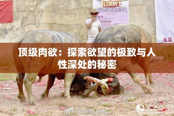 顶级肉欲：探索欲望的极致与人性深处的秘密