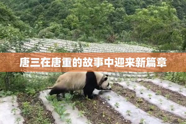 唐三在唐重的故事中迎来新篇章