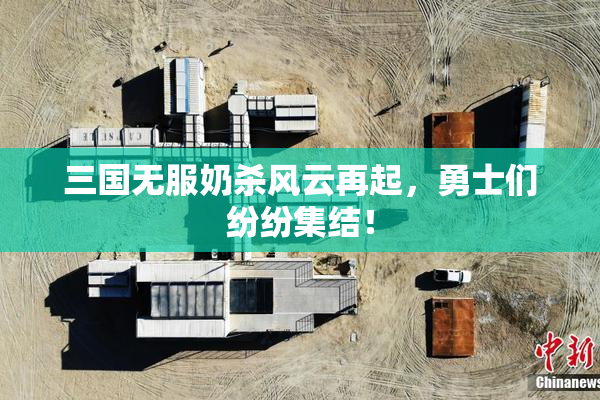 三国无服奶杀风云再起，勇士们纷纷集结！
