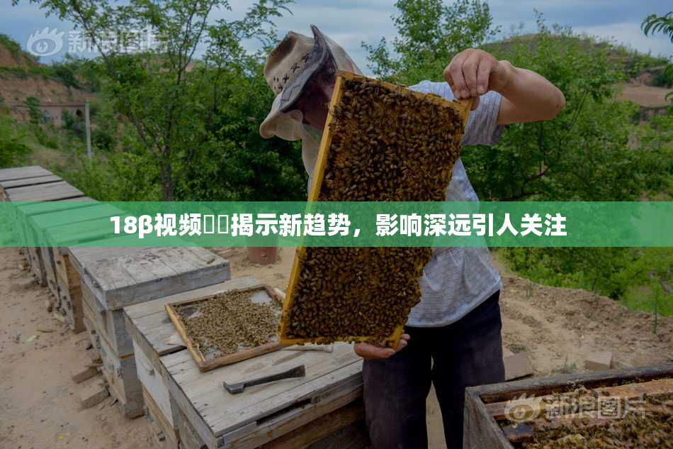 18β视频❌‌揭示新趋势，影响深远引人关注