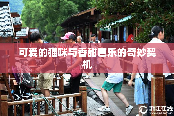 可爱的猫咪与香甜芭乐的奇妙契机