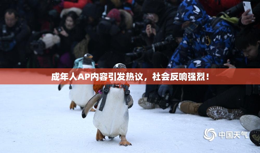 成年人AP内容引发热议，社会反响强烈！