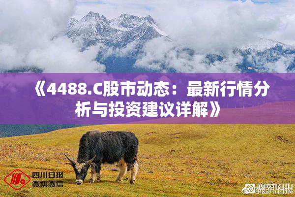 《4488.C股市动态：最新行情分析与投资建议详解》