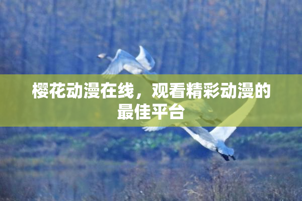 樱花动漫在线，观看精彩动漫的最佳平台