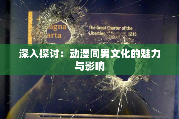 深入探讨：动漫同男文化的魅力与影响