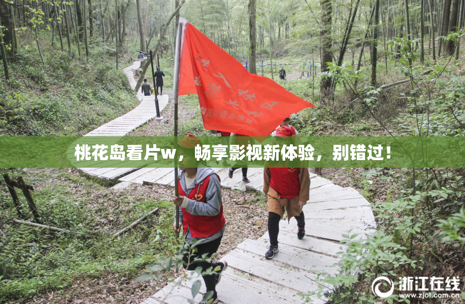 桃花岛看片w，畅享影视新体验，别错过！
