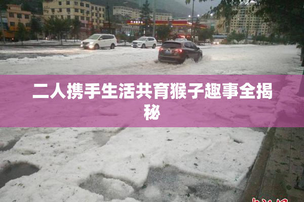 二人携手生活共育猴子趣事全揭秘