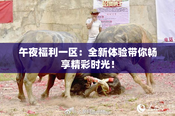午夜福利一区：全新体验带你畅享精彩时光！