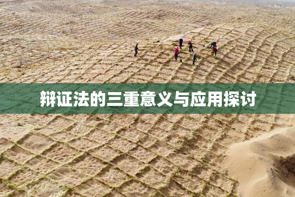 辩证法的三重意义与应用探讨