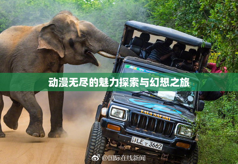 动漫无尽的魅力探索与幻想之旅